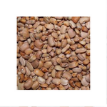 haricot brun brown bean